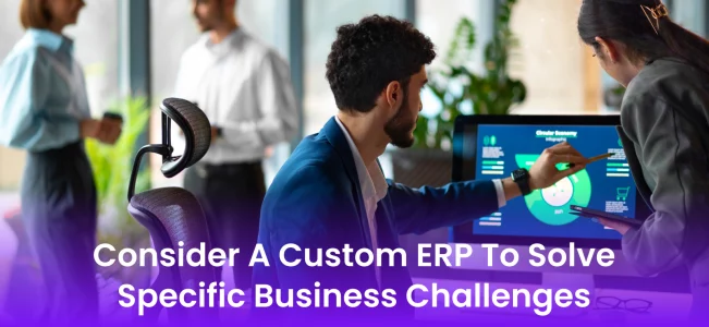 Custom ERP feature Image